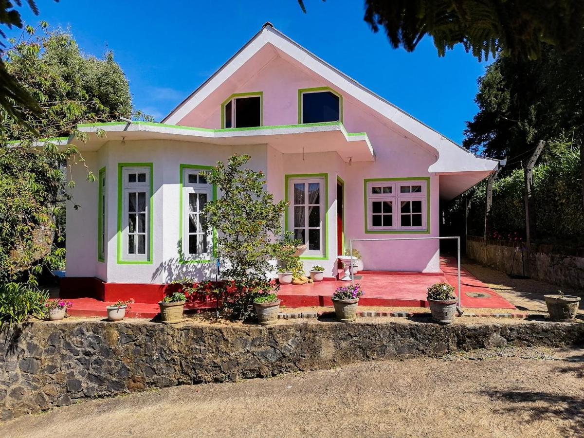 Nuwara Eliya Mountain View Homestay 外观 照片