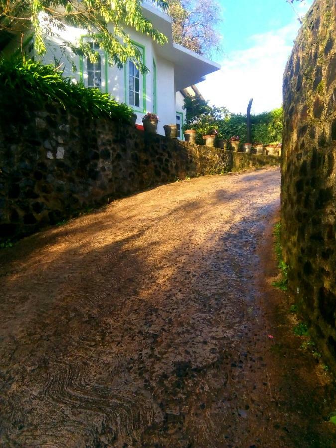 Nuwara Eliya Mountain View Homestay 外观 照片
